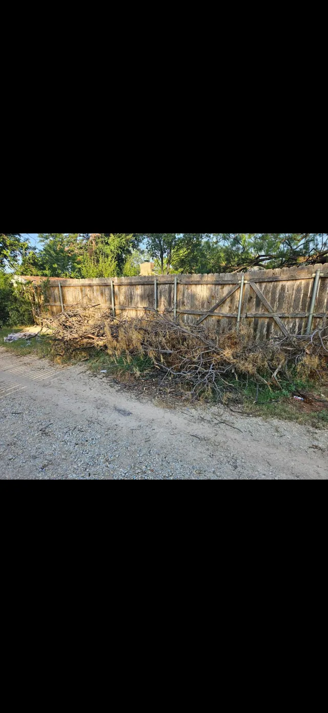 Branches and debris piled along a backyard fence before cleanup