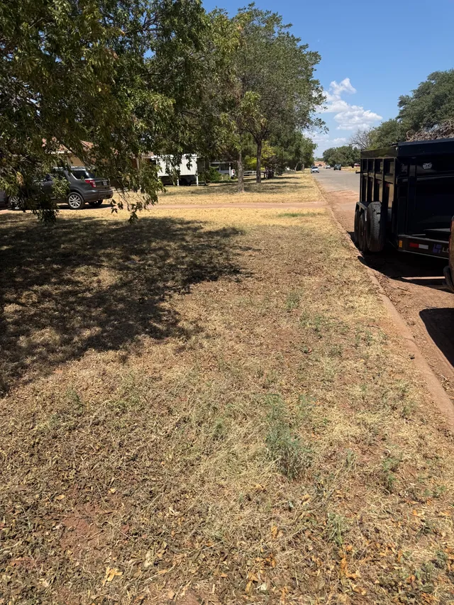 Clear curb and yard after Blackland hauled away the limbs