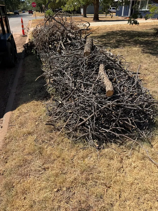 Large curbside pile of branches before removal